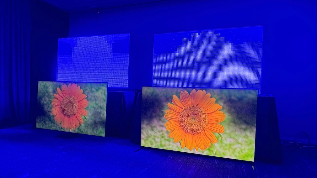 Sony Bravia 9 im Vergleich mit einem anderen Mini-LED-TV